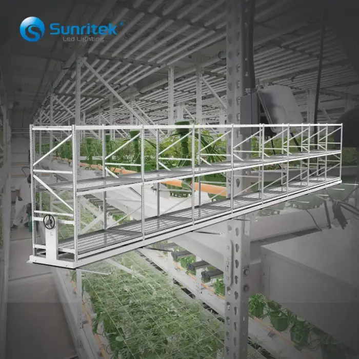 Movable Indoor Stationary Hydroponic Growing Dripping System For agricultural greenhouse