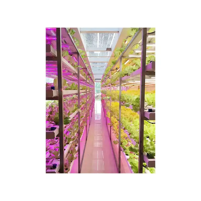 Container Farm Intelligent Control NFT Channel Greenhouse Vertical Indoor Farm Plant Factory Hydroponics Container