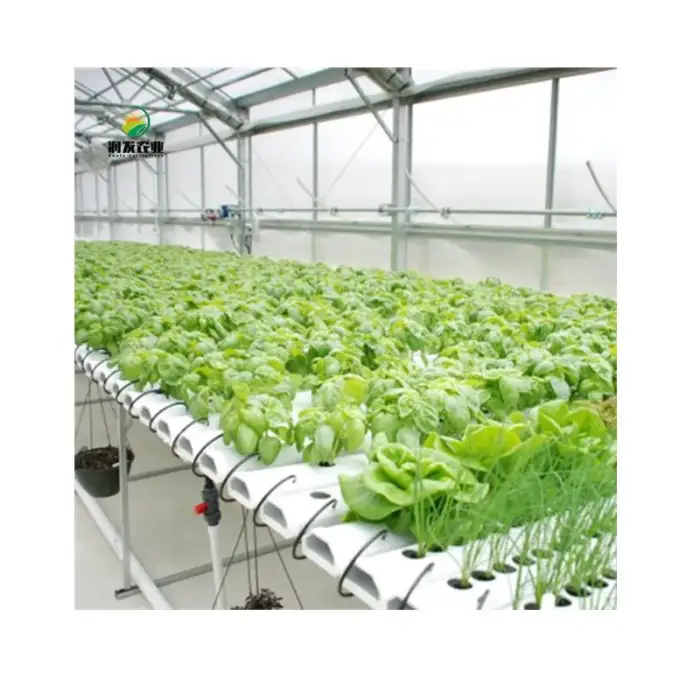 Kit Hydroponics System NFT Vertical Hydroponics Growing System Equipment Tiled Pipeline Hydroponics