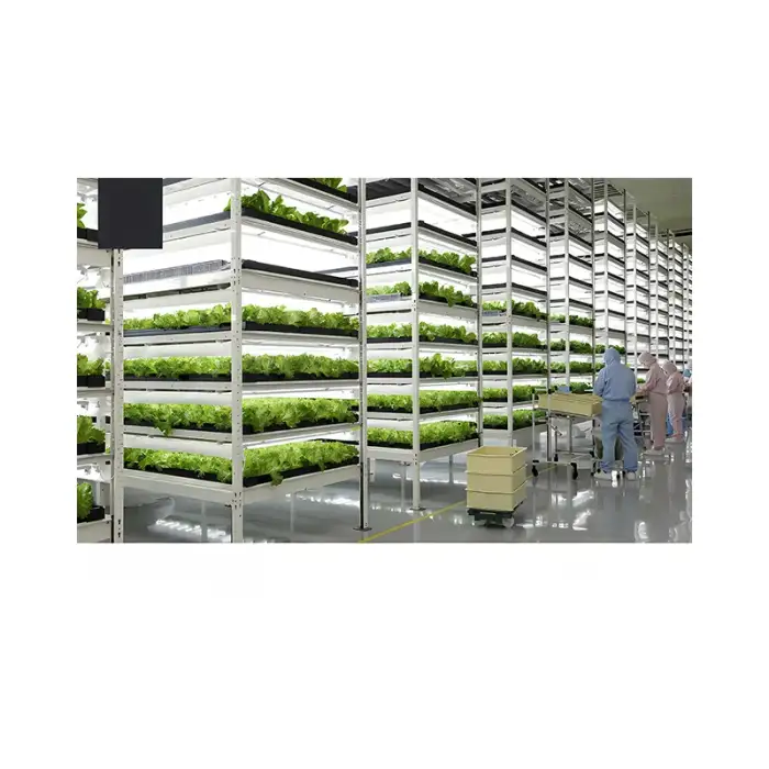 40FT Hydroponic Vertical System Shipping Container for Vegetable Growing Container Room Plant Agricultural