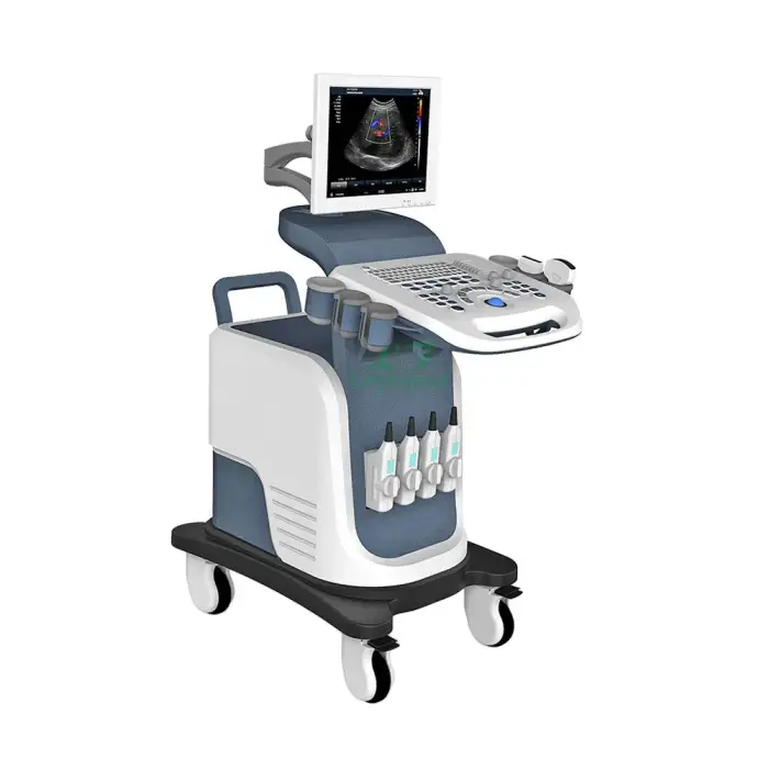 LTUB66 Medical Ultrasound Instruments Usb 4D Trolley Urology Heart Cardiac USG Machine For Ultrasound