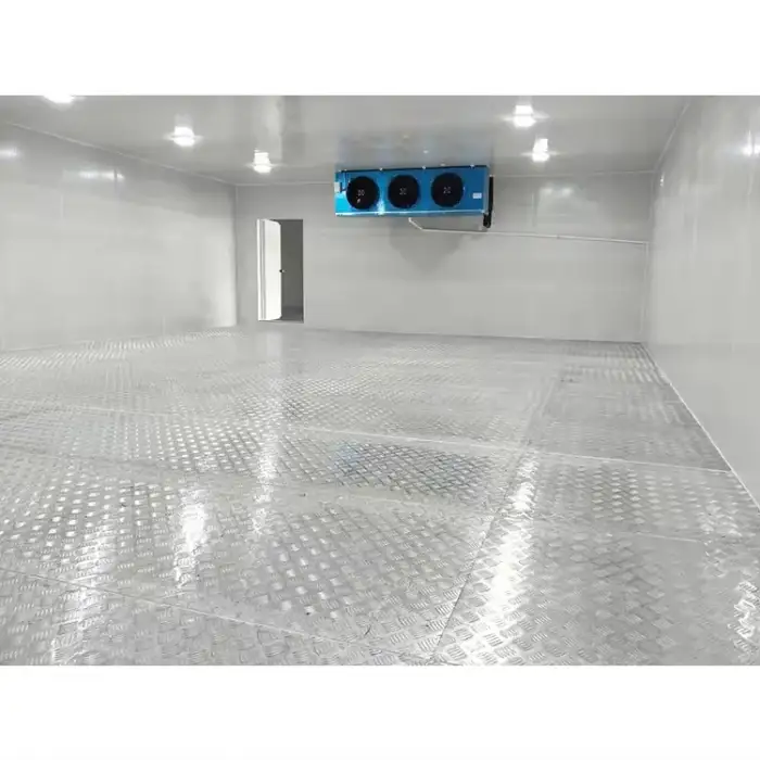 Commercial Air Blast Walk In Freezer Cold Room Air Cooled Freezer Condensing Unit Cold Storage Pu Panels With Hinged Door