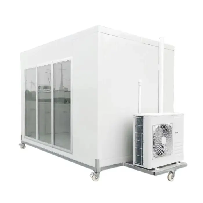 20ft 40ft Blast Walk-in Freezer Cold Storage Container with 380V Refrigeration Unit for Home Use Meat Fish Cold Room