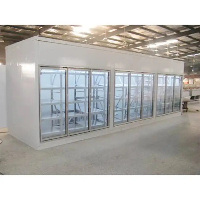 walk in cooler fish cold storage freezer compressor panels cold storage Standby cold storage for sale