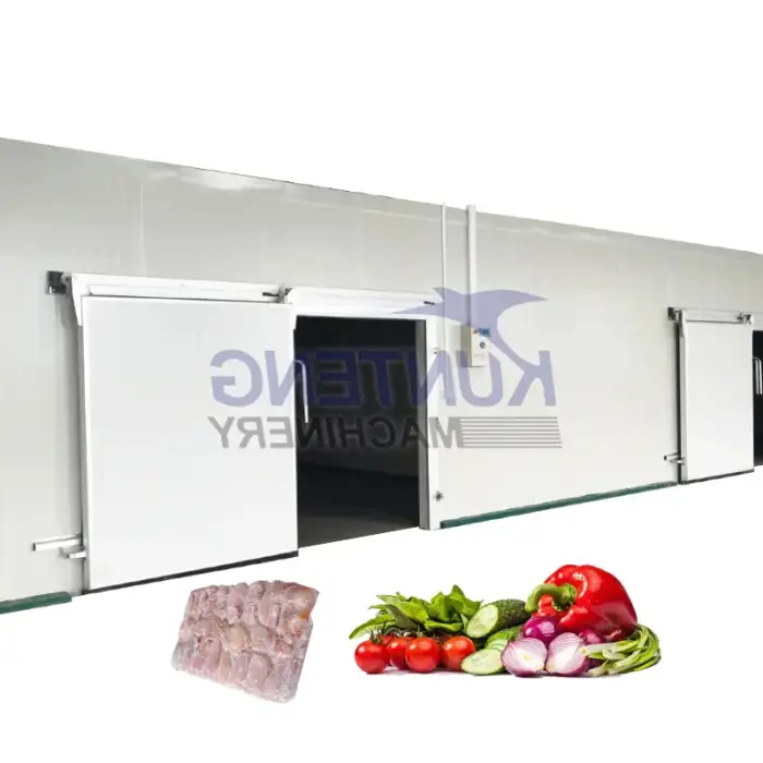 Commercial cold room for hanging meat storage walk in freezer fridge cold warehouse display chill temperature records