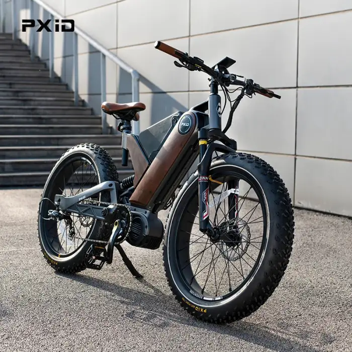 PXID ANTELOPE P5 ebike 24 inch womans bicycle fat tire wheel mtb electric beach bikes