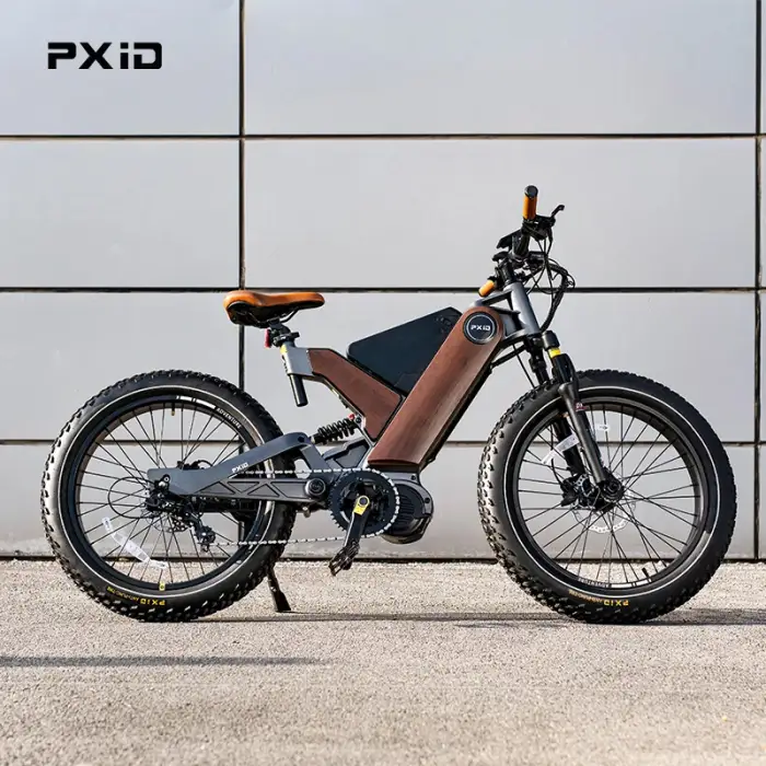 PXID electric bike manufacturers ANTELOPE P5 750W 1000W 48V E-bike electric bicycle mountain bike