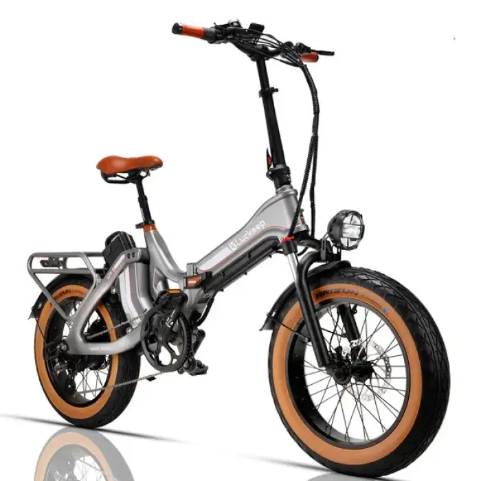 Folding Electric Bicycle Lithium Battery 48V Bicycle Manual Oil Brake Leisure City Bike