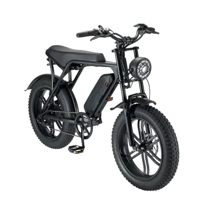 Leisure Mountain E-Bike: 7-Speed, 20-Inch Fat Tire Off-Road E-Bike