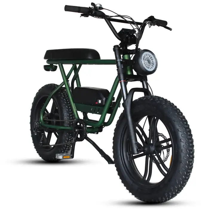 Folding Electric Bicycle