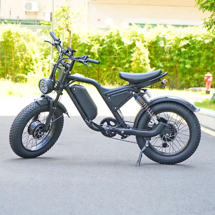 OEM ODM cheap  leisure electric bike 7-speed 500Wx2  brushless motor 48V 15Ah  lithium battery off road pedal E-bike