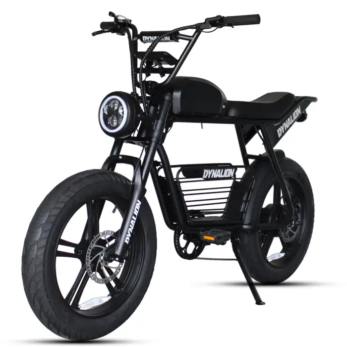 Fat Tire Electric Bike Electric Scooters 3 Wheel Bike Bicycle