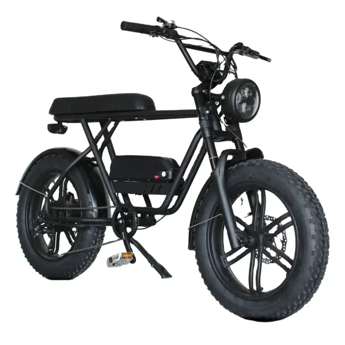 Bicycle Electric Bike Velo Electrique Ebike 1000W Full Suspension