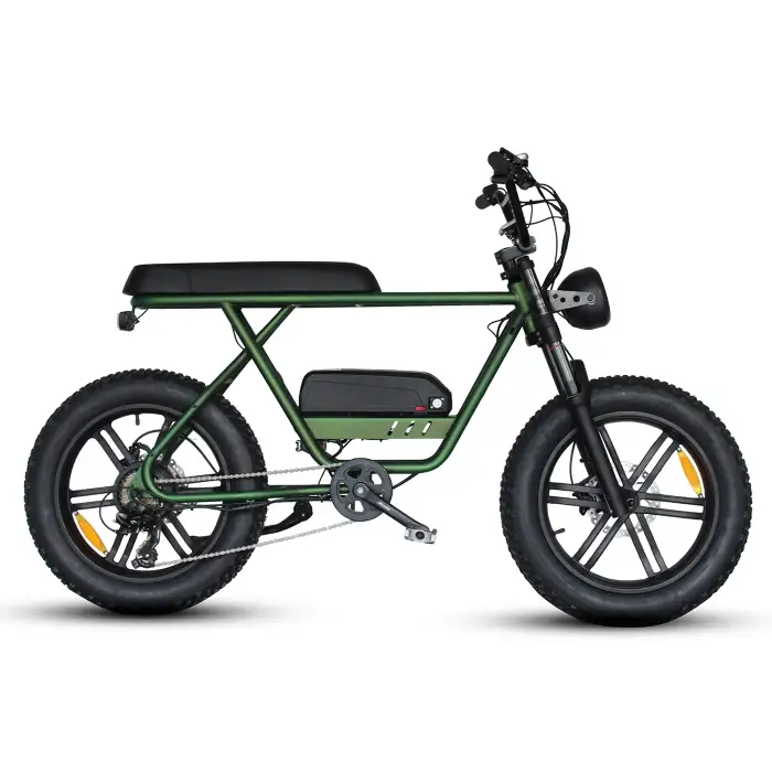 Electric Bike Ebike 1000W Full Suspension