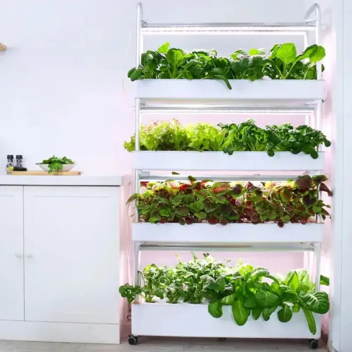 Indoor Use Garden Hydroponic, Growing Systems Vegetable Agricultural Machinery Aquaponic System For Leafy Planting