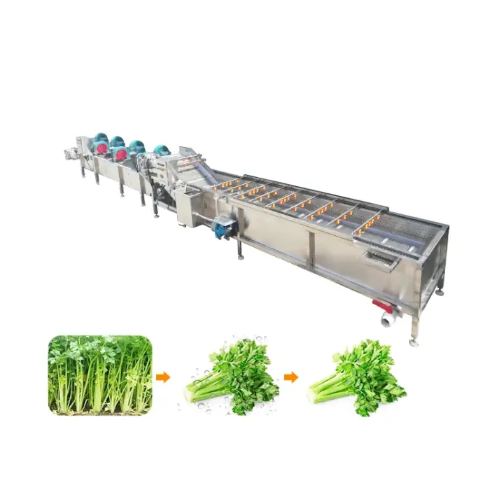 High Productivity Vegetable Washer Fruit Washing Machine Fruit Vegetable Drying Machines Fruit And Vegetable Washing Machine