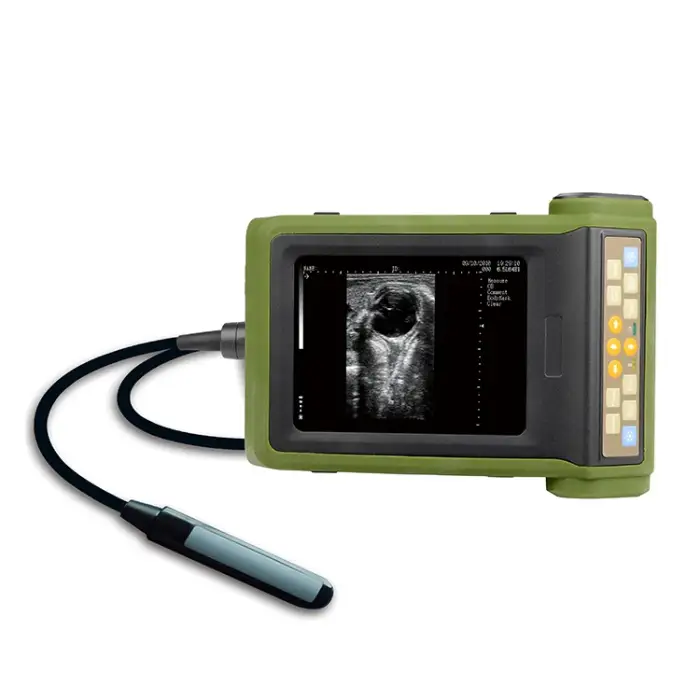 Medical flexible endoscope  machine