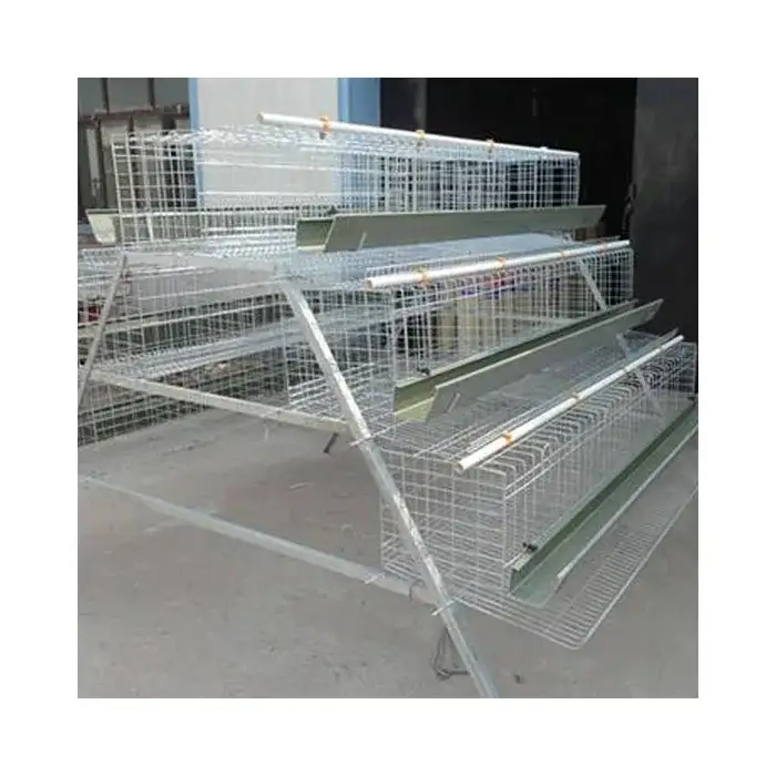 Automatic H Type Broiler Chicken Layer Cage For Sale