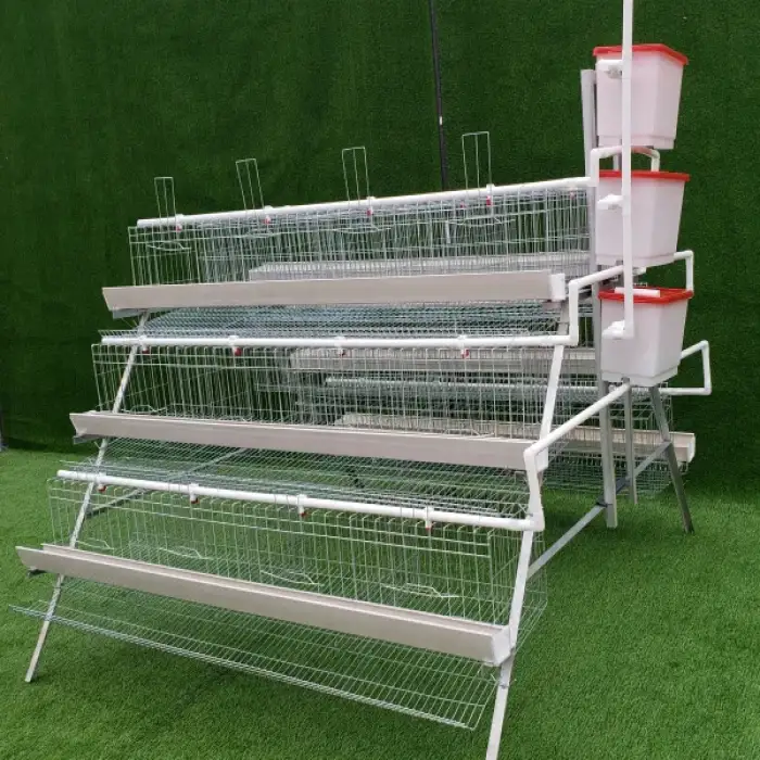 Outstanding A/H Type automatic cage system for laying hens egg chicken poultry farm chicken cage chicken poultry farm equipment