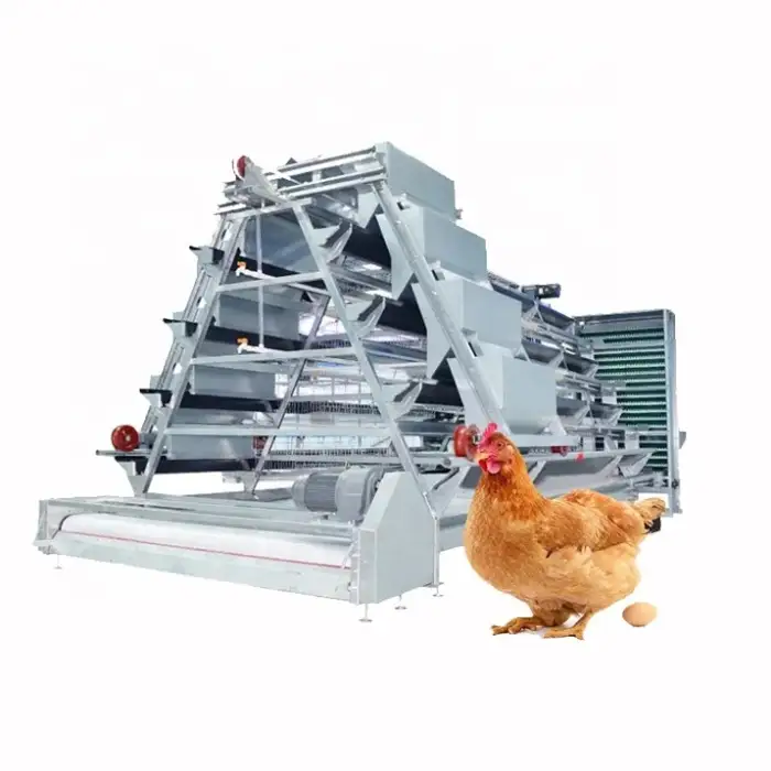 automatic a type chicken egg chicken farm laying hens cage used in poultry coop