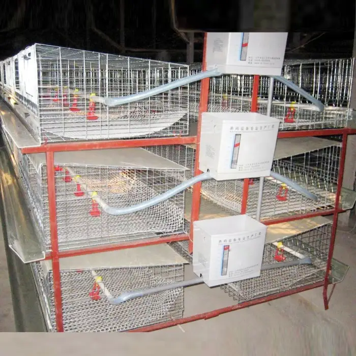 Simple design of layer cages for chickens animal cages chickens wooden chicken coop