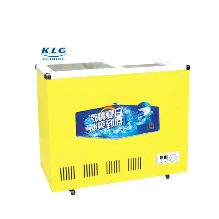 SCD-248 Refrigerator Display Freezer for Frozen Food with Plain Glass Door Mobile Home Use