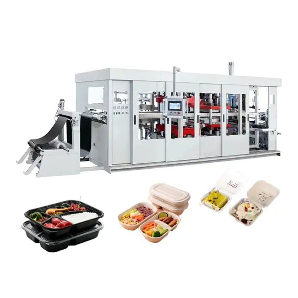 Food Container Making Machine: Disposable Plastic Cup, Box, Bowl, and Egg Tray Production Line