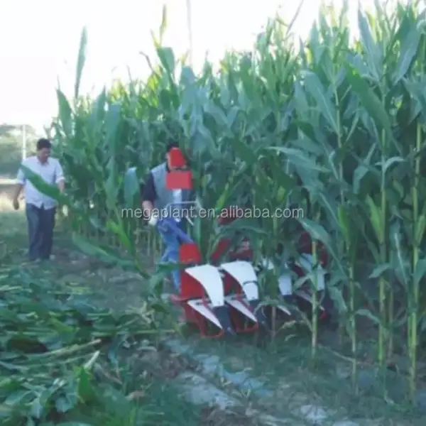 Hand Operated Mini Corn Silage Harvester Machine - Sale Price Available