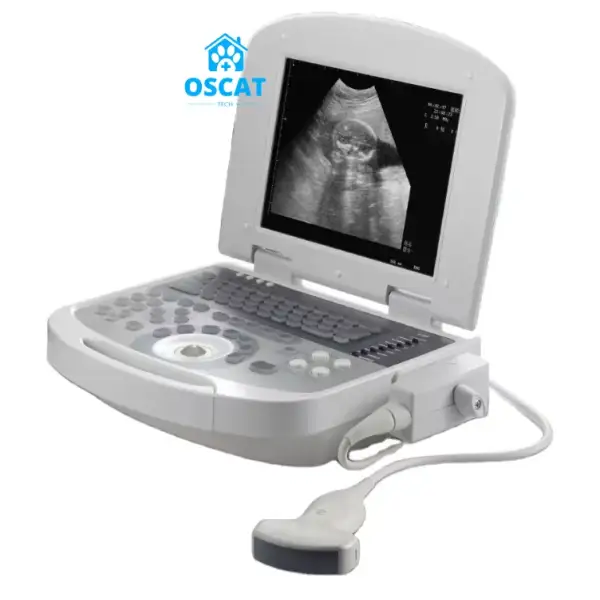 Physical Therapy Ultrasound Scanner Therapeutic Ultrasound Machine Diagnosis Probe Laptop Ultrasound