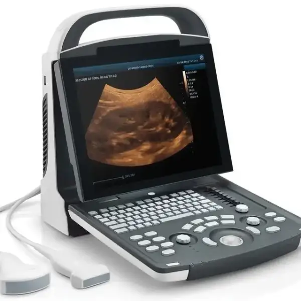 Portable Ultrasound System Scanner Compatible Transducer Convex Linear Probe Printer