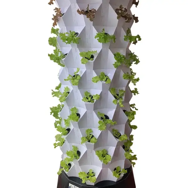 Hydroponic Plant System - Indoor Growing Kit