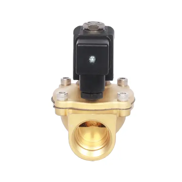 Natural Gas Leak Detector Diaphragm Solenoid Valve Detection System