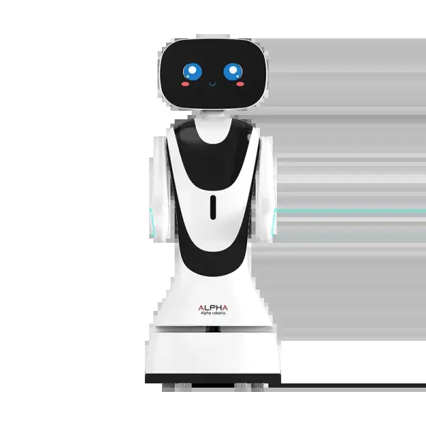 AI Timo Service Robot – Intelligent Humanoid for Commercial Use