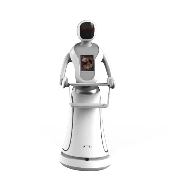 Smart Humanoid Robot – Human-Sized Intelligent Robot