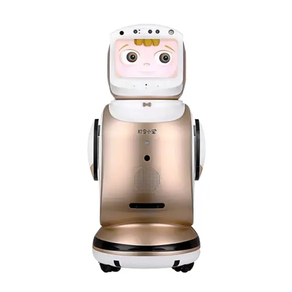 HWZB Nano Human-Size AI Service Robot